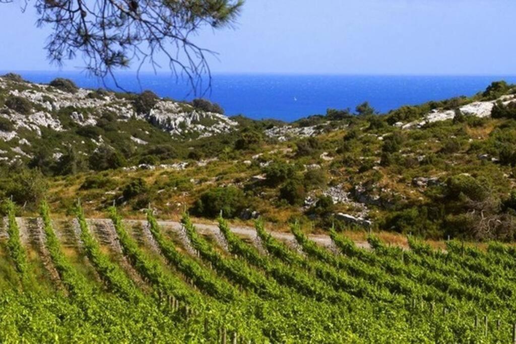 Entre Mer Et Garrigue Saint-Pierre-la-Mer  Экстерьер фото